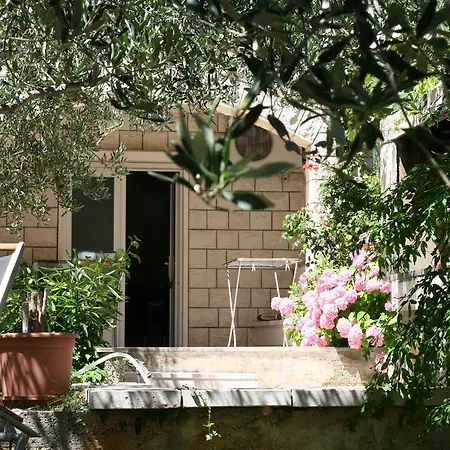 Guest house Jagoda 3*