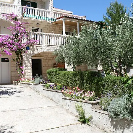 Guest house Jagoda 3*